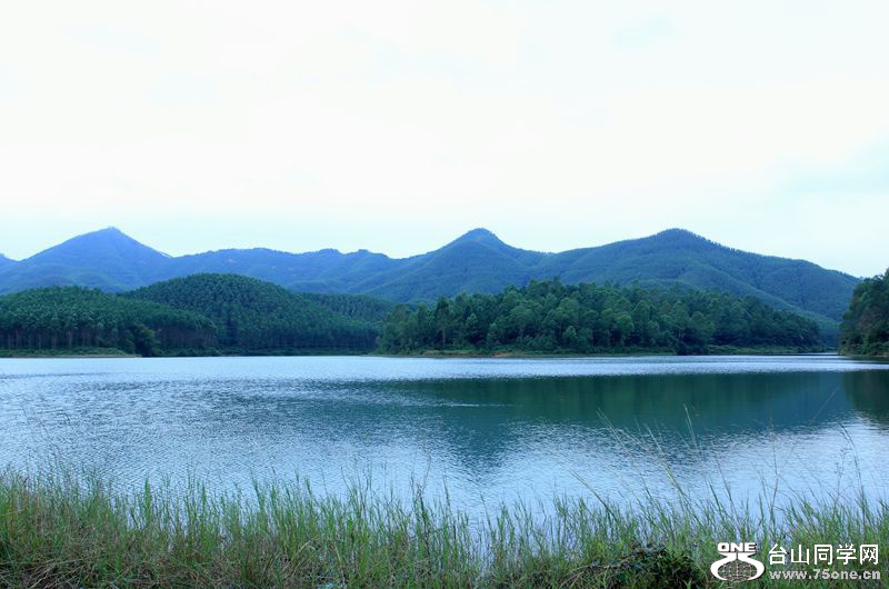 19_35824_6aa48a1c53c5a84-copy.jpg