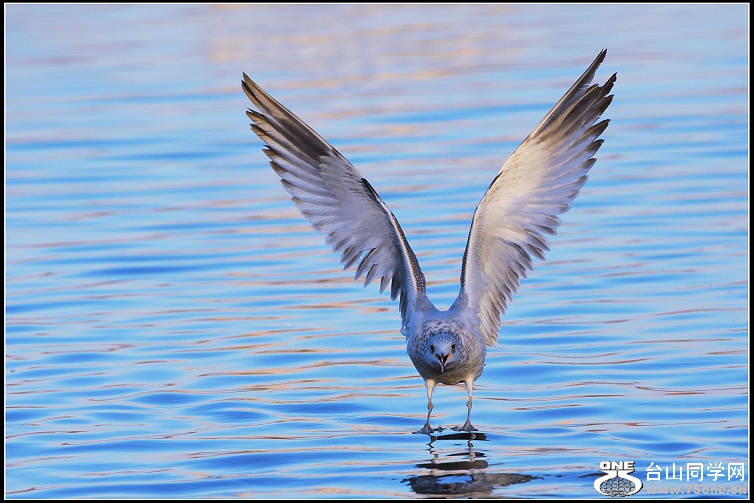 DSC_9821.jpg