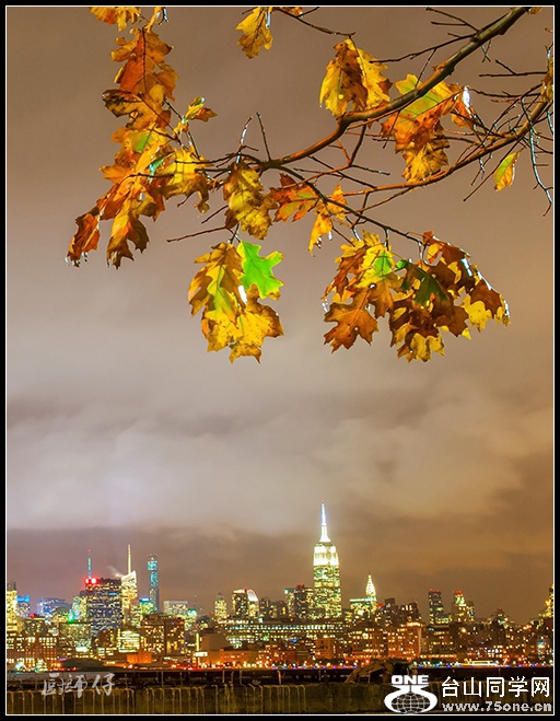 DSC_4071.jpg