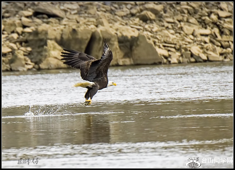 DSC_6286.jpg