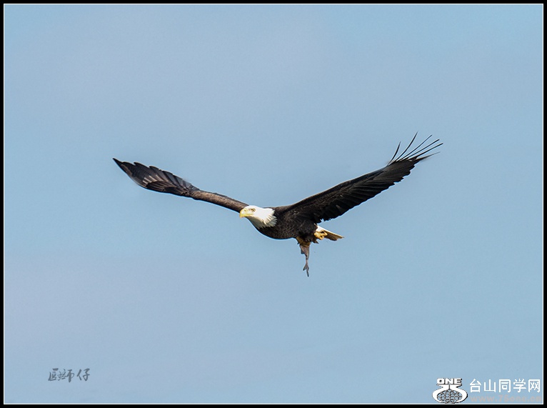 DSC_0648.jpg