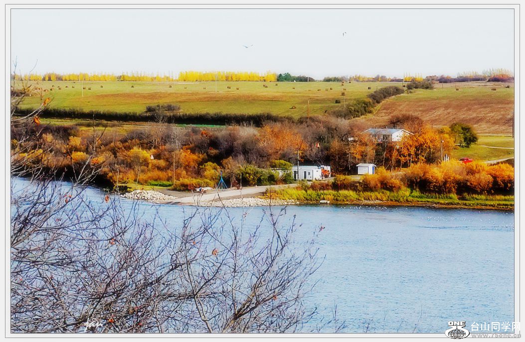 DSC09839_a.jpg
