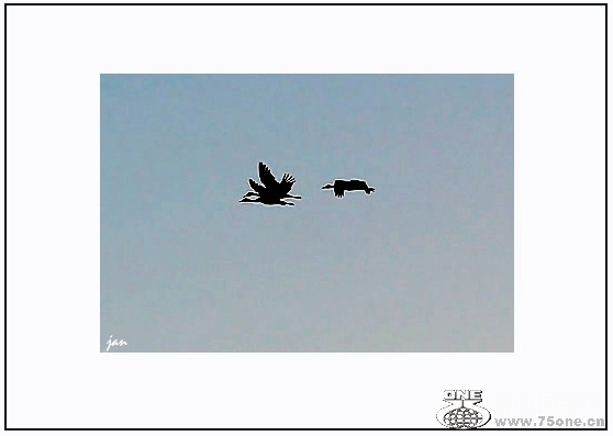 IMG_2583.jpg