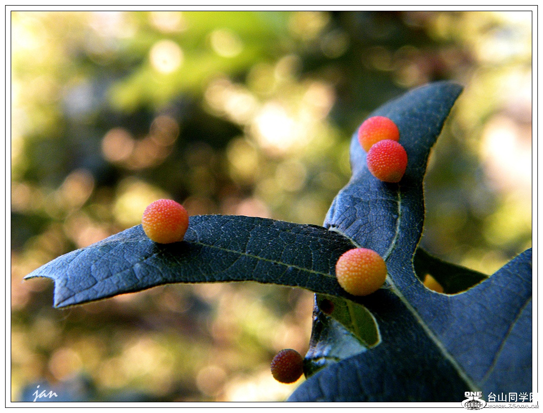 DSCF5339.JPG