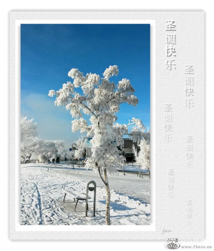 20151223_123241_Richtone(HDR)_a.jpg