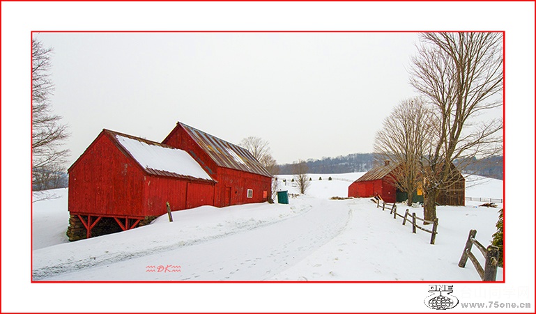 DSC_6031C.jpg