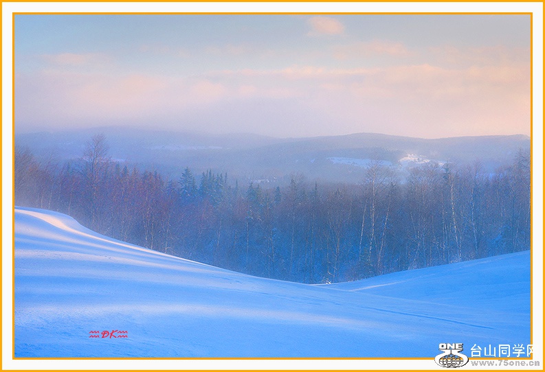 DSC_6426C.jpg
