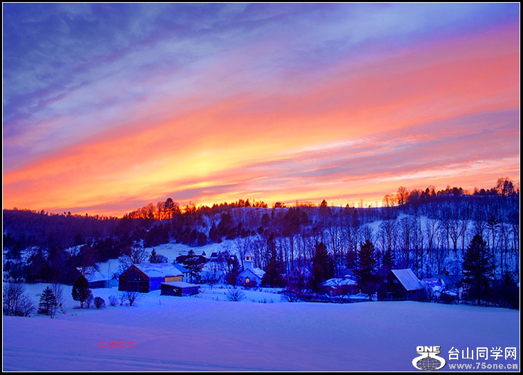 DSC_6117C1.jpg