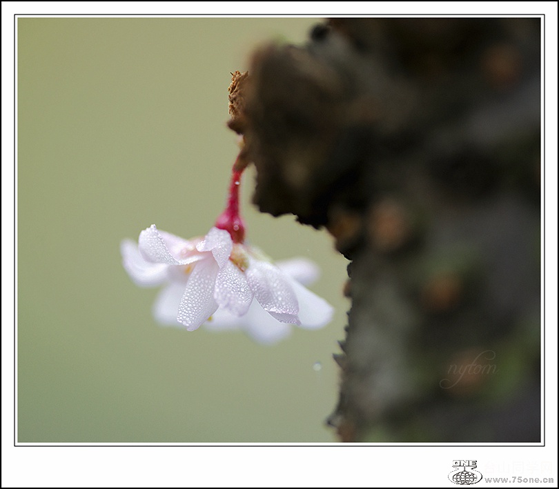 DSC_7076_.jpg