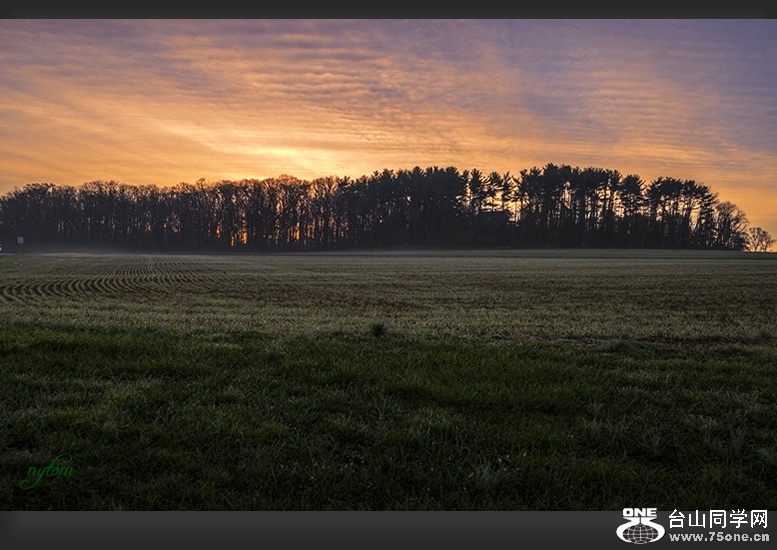 DSC_1457_,..jpg