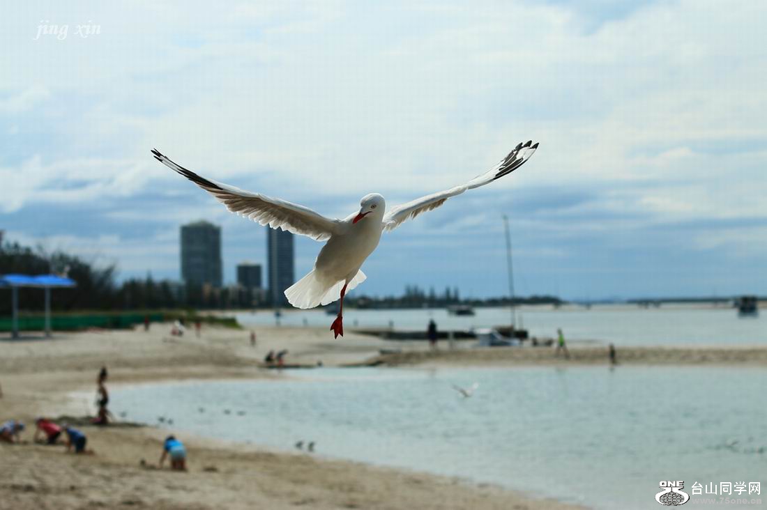 IMG_74920000.jpg