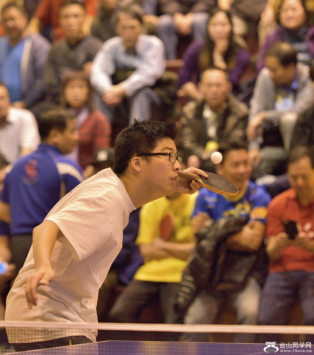 DSC_938111.jpg
