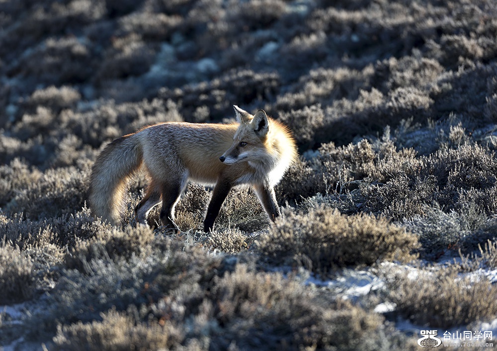 DSC_9773_01.JPG