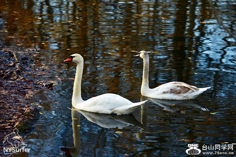 DSC_31959.jpg