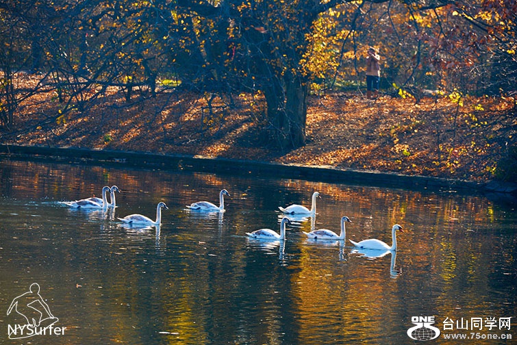 DSC_31738.jpg
