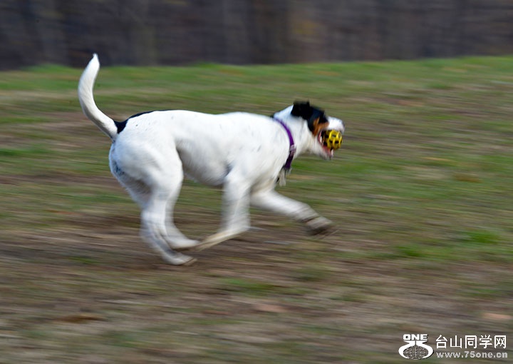 DSC_41672.jpg