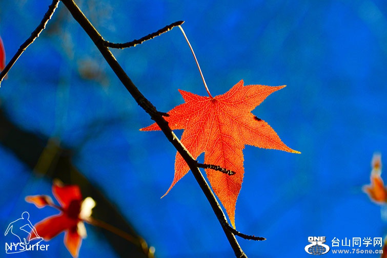 DSC_31710.jpg