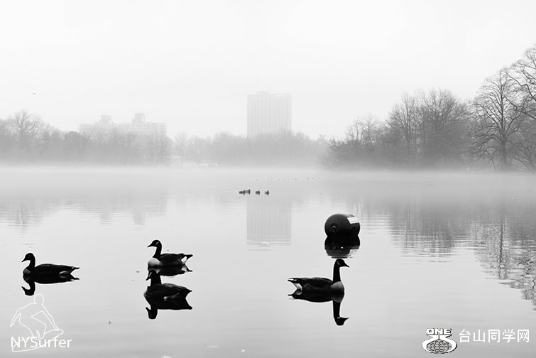 DSC_61017.jpg