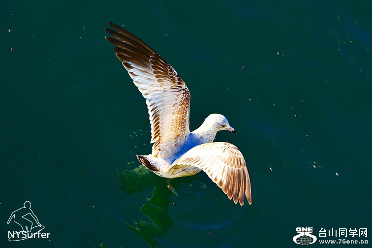 DSC_31263 (1).jpg