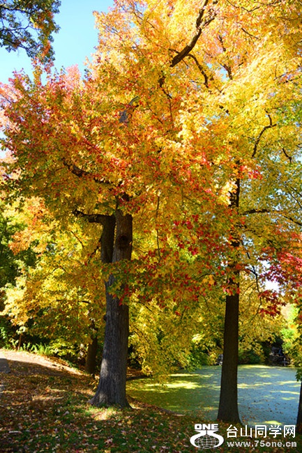 DSC_7942__.jpg