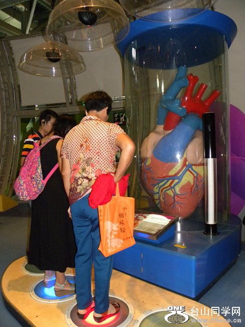 DSCN3346.jpg
