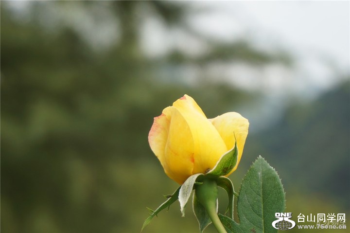 ca8936cef5c348c8b2f498d04d6f00b4_720_0_max_jpg.jpg