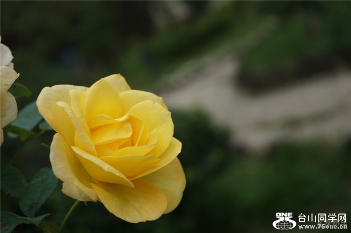 2014b869a9ec40318fe848727fe63588_720_0_max_jpg.jpg