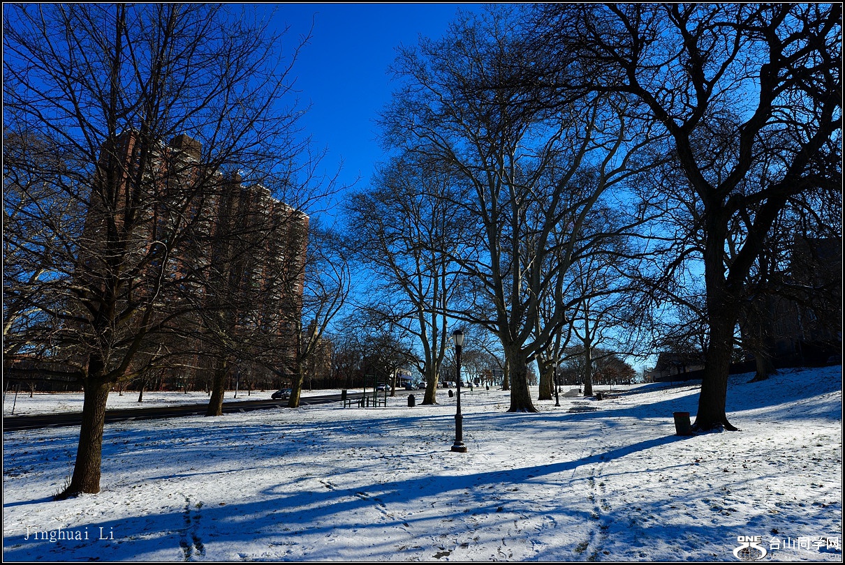 DSC_5472.jpg