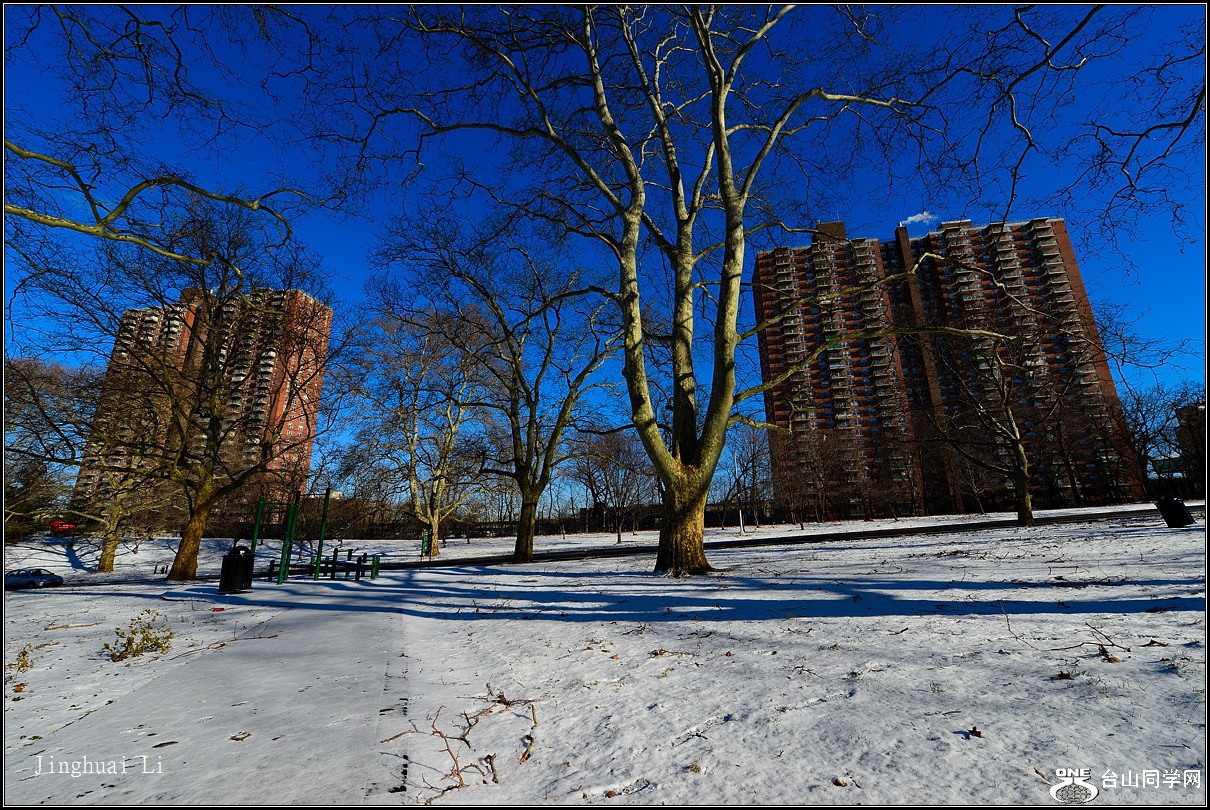 DSC_5390.jpg