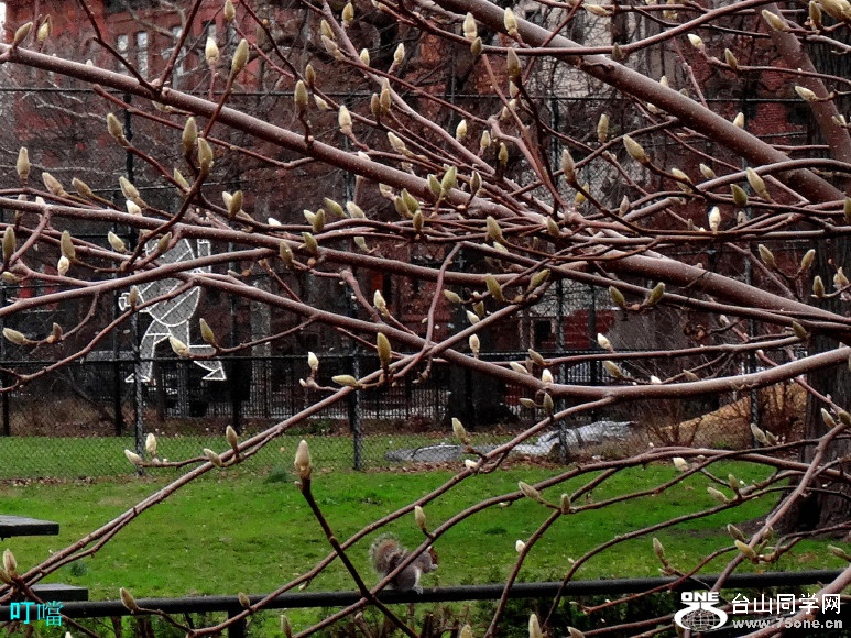 DSC00738a_1.jpg