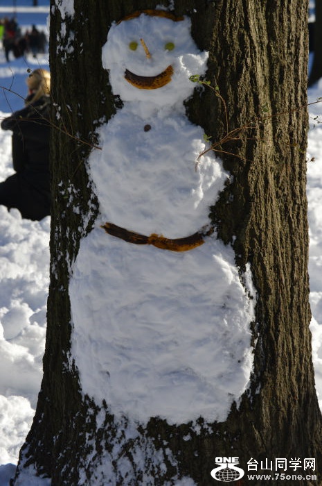DSC_0302.jpg