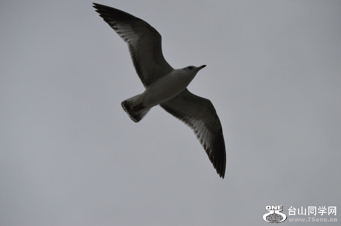 DSC_0793.jpg