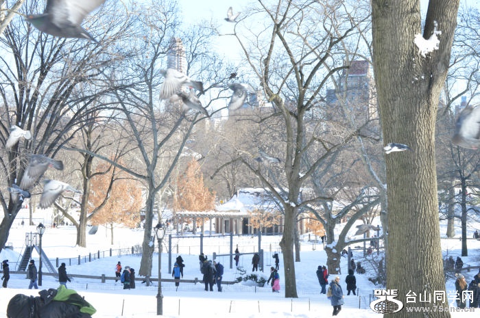 DSC_0255.jpg