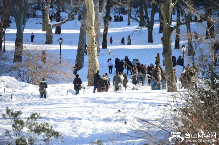DSC_0353.jpg