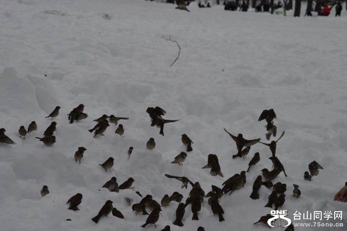 DSC_0518.jpg
