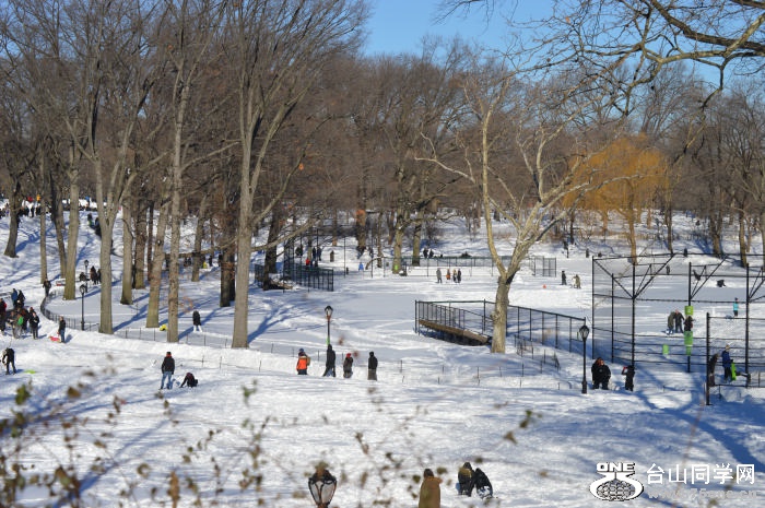 DSC_0351.jpg
