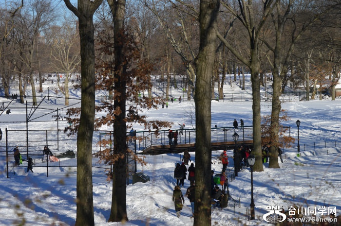 DSC_0352.jpg