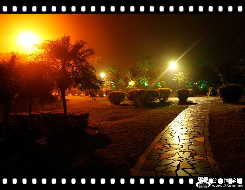 DPP_201.1.90106__.jpg