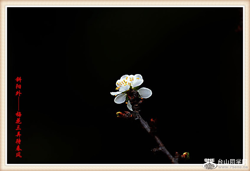 DPP_201.1.1-0478_.jpg