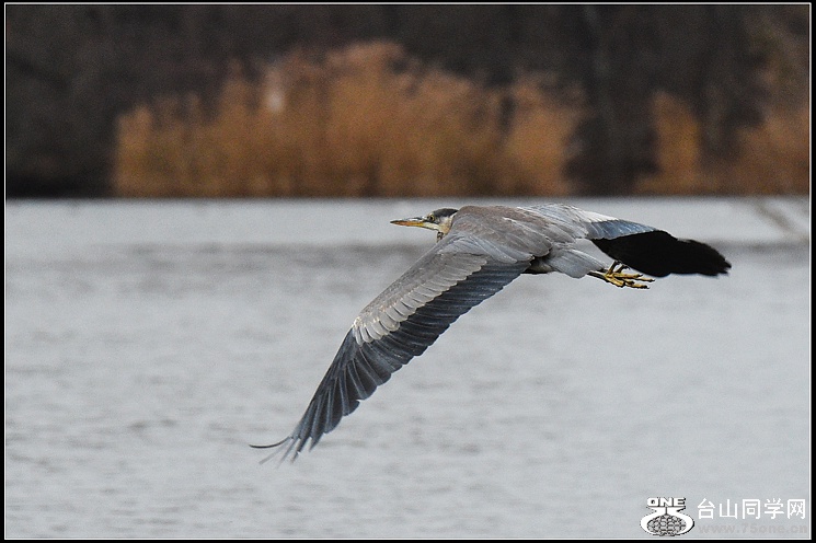 DSC_1470.jpg