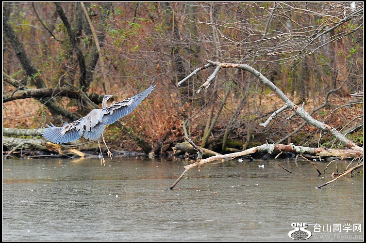 DSC_5476.JPG