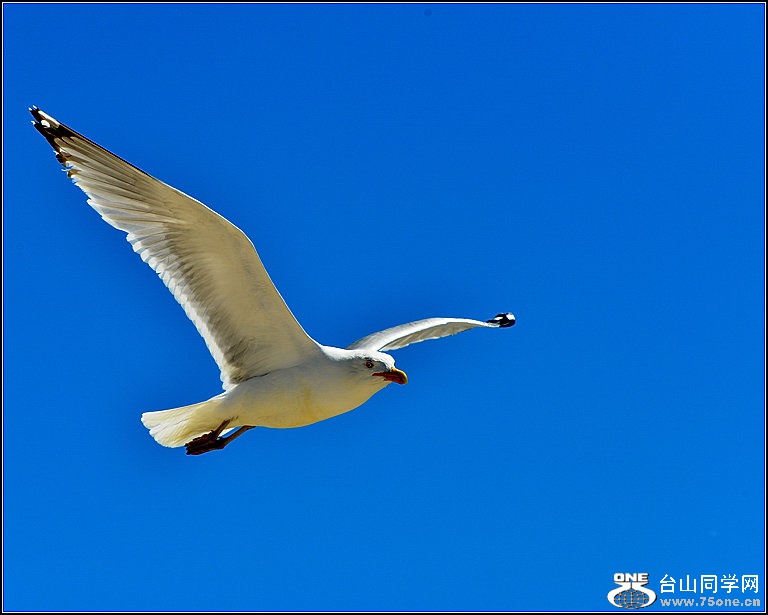 DSC_4591.jpg