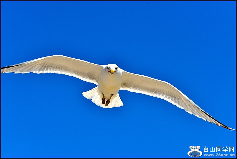 DSC_4572.jpg