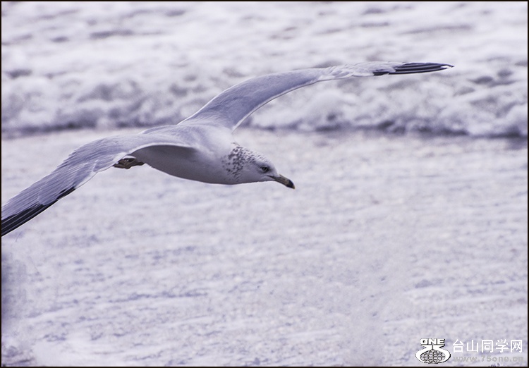DSC_2327.jpg