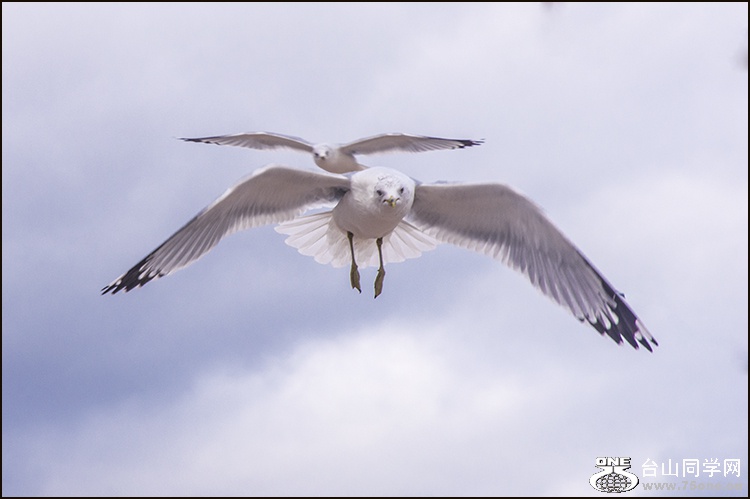 DSC_2210.jpg