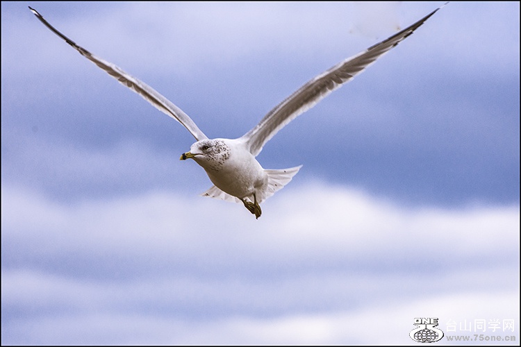 DSC_2315a.jpg