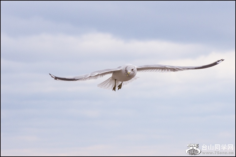 DSC_2297a.jpg