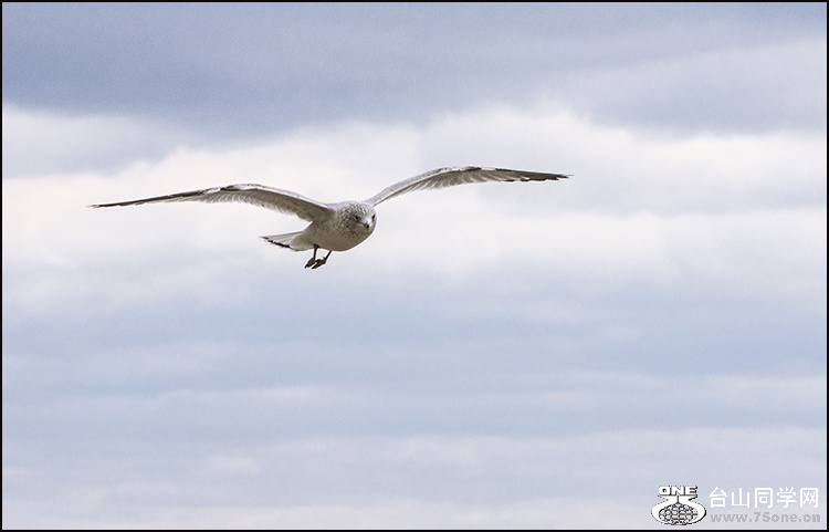 DSC_2309.jpg
