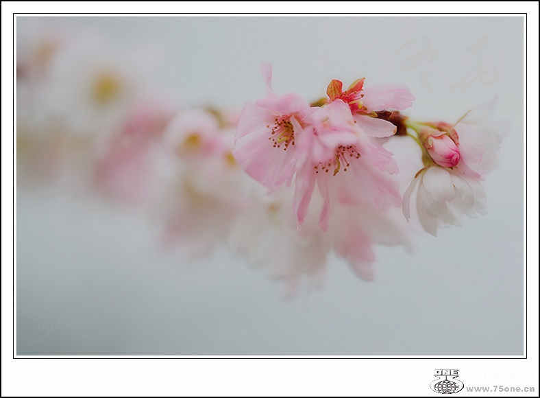 DSC_7218,_.jpg