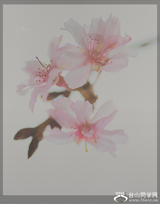 DSC_7205.,_.jpg